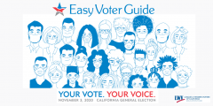 Easy Voter Guide, cavotes, elections, voting, voter guide, trusted source, California