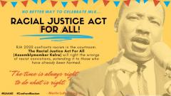 Racial Justice Act for All