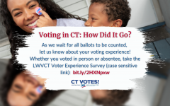 General Election Voter Experience Survey Website link image
