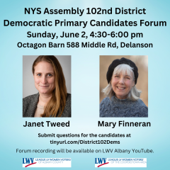 Democratic Party Candidares for 102nd Assembly District