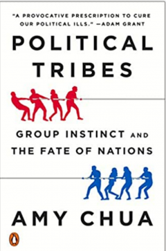 Chua book cover Political Tribes