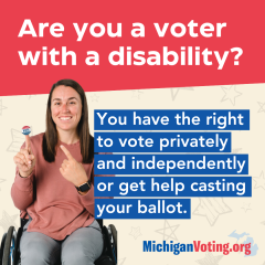 Are you voter with disabilities?
