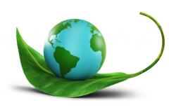 Environment