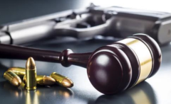 Responsible Gun Laws and Policies for Wisconsin