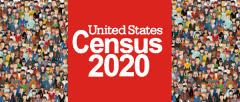 Census 2020 image