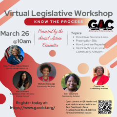 Virtual Legislative Workshop - Know The, hosted by the Gainesville Alumnae Chapter of Delta Sigma Theta Sorority, Inc