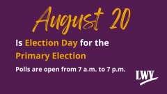 Primary Election Day with gold and white text on a purple background