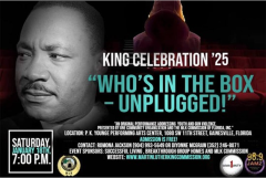 Poster for Whos in the Box Unplugged Performance