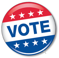 Vote Pin