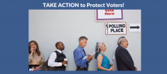 voting rights, California, Low, action alert, assemblymember, League of Women Voters
