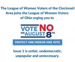 vote No on August 8 text graphic
