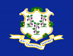 Image of the Connecticut Flag in color