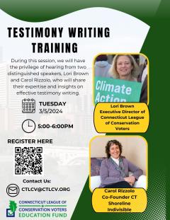 event image with text reading "testimony writing training"