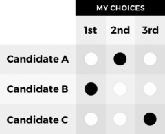 Ranked Choice Voting Example ballot from RankMIVote