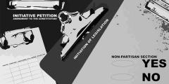  ballot issues dpl oct 11