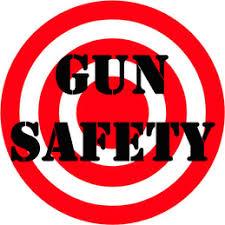 Gun Safety Logo