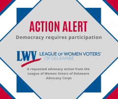 Action Alert - Democracy Requires Participation