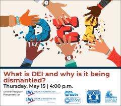 What is DEI?