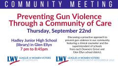 Preventing Gun Violence Through a Community of Care