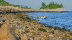 The Knob, Woods Hole