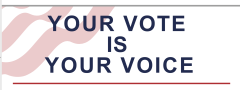 Your Vote is Your Voice image