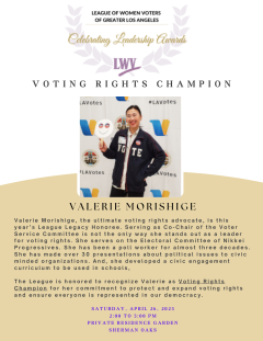 Voting Rights Champion