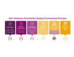 GVP Timeline