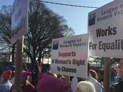League of Women Voters of Homewood-Flossmoor Area is attending the Chicago Women's March 2020! 