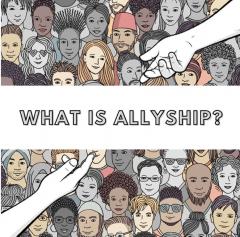 What is an ally?