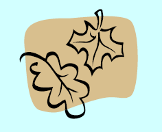 oak and maple leaves - black outline drawing on brown and turquoise background