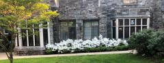 Attractive stone church building, white azalea flowers blooming in front