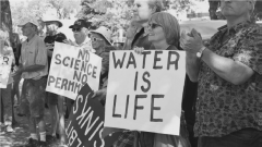 People, protest sign reading "Water is Life"