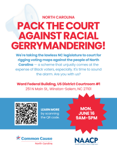 Flyer for June 16 Court Hearing on Racial Gerrymandering