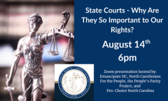 State Courts Webinar by partners