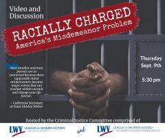Racially Charged Video Graphic
