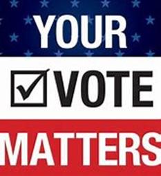 Voting Matters Icon