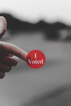 I Voted Button