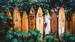 Photo of surfboards leaning against a fence