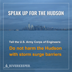 Hudson Storm Barriers