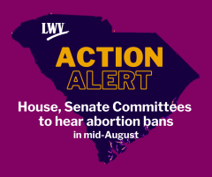 LWVSC Alert: Committtees to hear bans in mid-August