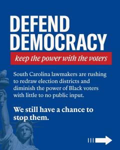 Defend democracy: keep the power with the voters 