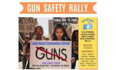 Gun Safety Rally