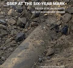 GSEP at the Six Year Mark