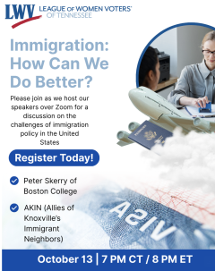 Poster of Immigration Webinar