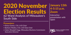 Graphic detailing an online presentation of the November 2020 election results in Milwaukee's south side.