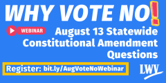 Why Vote No: August 13 Statewide Constitutional Amendment Questions