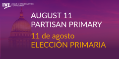 Partisan primary 8/11/2026