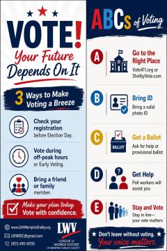 downloadable image of info about basics of voting
