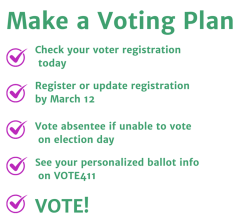 Make a Voting Plan graphic
