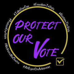 Protect Our Vote